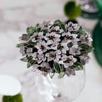 Misty elegance premium package