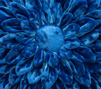 Radiant Frost Cushion